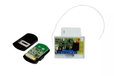 Inside the remote control and the transmitter: