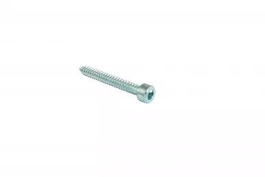 Nice Screw WALKY/WT (V6.3X50A.5101)