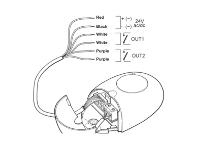 Output description: