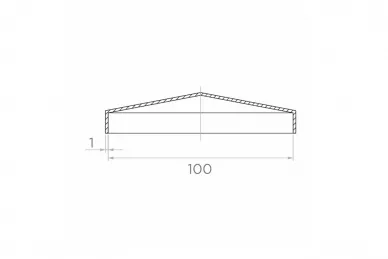 PSG 62.010 Daszek 100x100/0,8 (100)