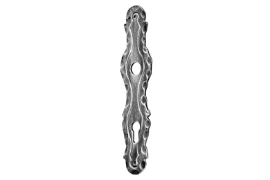 PSG 63.138.72.00 Narrow escutcheon 72 H263XL60/3