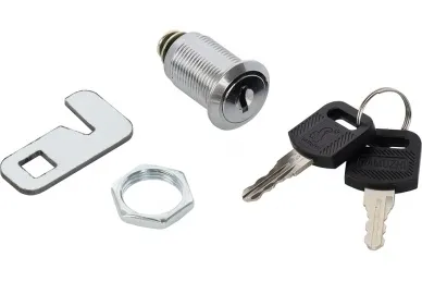Pulsar RAZ-DG Lock intended to rear door of RACK cabinets RWDA-G series