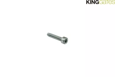 RL3 Engine housing bolt - LINEAR