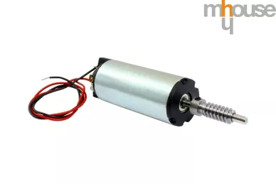 RMHWG1S03 Motor with worm shaft WG1S
