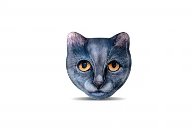 Roger Technology AVATAR 2-channel copy remote control