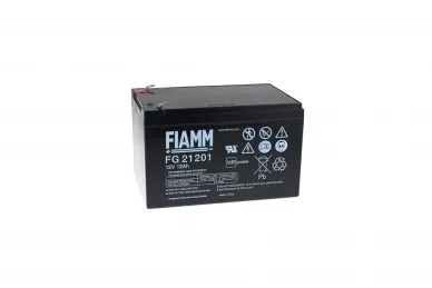 Roger Technology BT12V120 Batterie 12V 12Ah