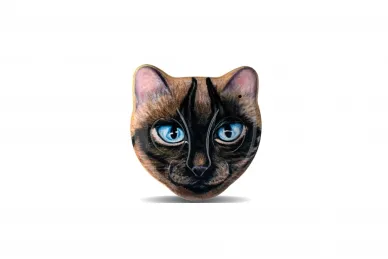 Roger Technology KSENYA 2-channel copy remote control