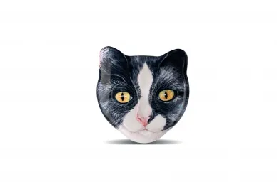 Roger Technology PEPE 2-channel copy remote control