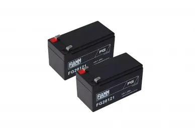 Roger Technology SET BT12V12 2 batteries pour portes coulissantes