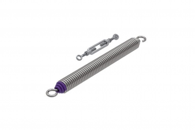 Roger Technology SP/56/G10 Balance Spring Ø 56 mm, purple