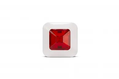 Satel WZ-110 Remote alarm indicator