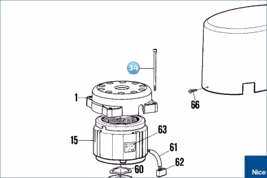 Screw ROBO500 (V4X80-A.5102)