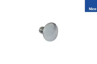 Screw SPIN/GD (V6X12C)
