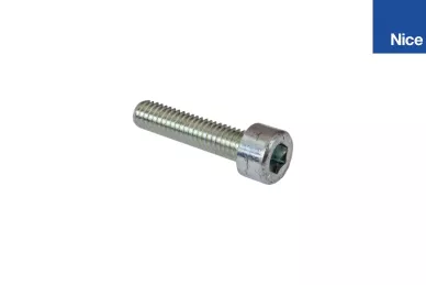 Screw (V6X25.5102)