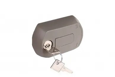 Somfy 1782899 Elixo Smart poignée de déclenchement manuel