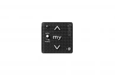 Somfy 1811015 Smoove 1 A/M io Black Shine /ohne Rahmen
