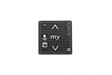 Somfy 1811316 Smoove RS100 io Black Shine /ohne Rahmen