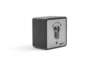 SOMFY 1871148 Key switch, impulse, surface-mounted