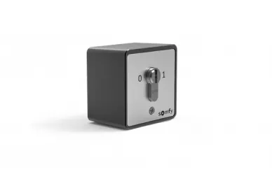 Somfy 1871150 Universal-Schlüsselschalter, Aufputz