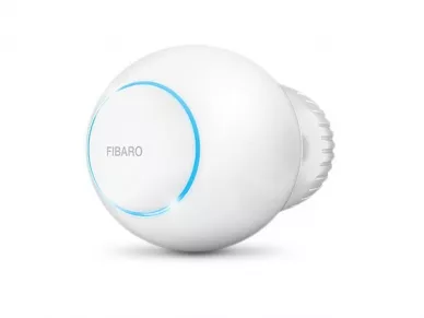 The Heat controller FGT-001 ZW5 EU