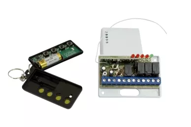 Inside the remote control and the transmitter: