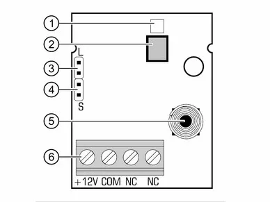 Satel AMBER 2E Digitaler PIR-Detektor