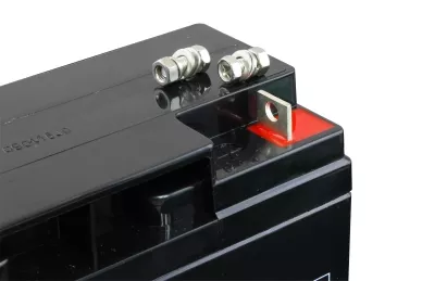 Terminals and screw: