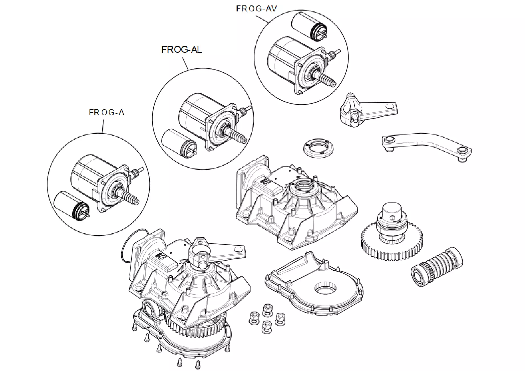 Service parts Came Frog-A