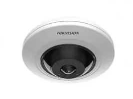 FishEye IP-Kameras